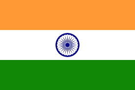 INDIA Team Logo