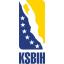 BOSNIA DIVISION I logo