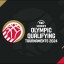 OLYMPIC QUALIFIERS logo
