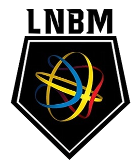 ROMANIA LIGA NATIONALA Logo