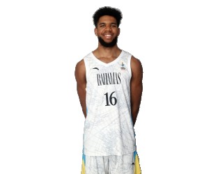 Aaron Levarity basketball player - PF/C