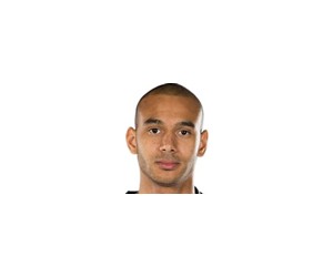 Adam Hanga basketball player - PG/SG/SF