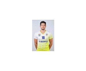 Akos Kerkai basketball player - SG