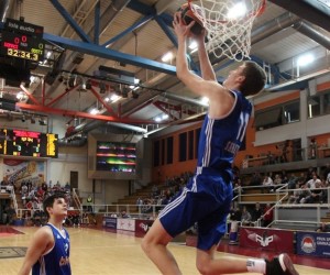 Aleksa Stepanovic basketball player - F