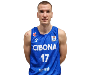 Aleksandar Aranitovic basketball player photo 4