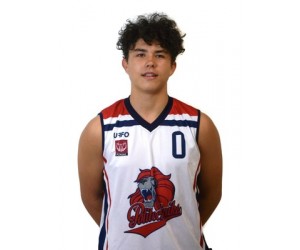 Aleksander Dziekanski basketball player - PG/SG