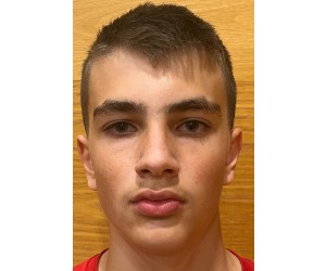 Aleksej Brkic basketball player