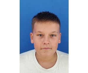 Aleksej Jokic basketball player