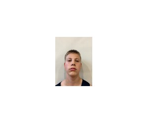 Alens Albrekts basketball player - F