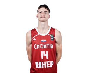 Alexander Bozikovic basketball player - F