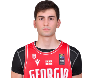 Alexandre Daushvili basketball player photo 1