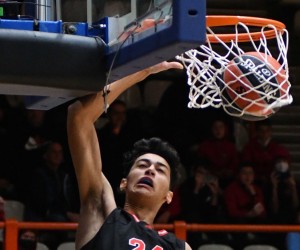 Alexandros Samodurov basketball player photo 1