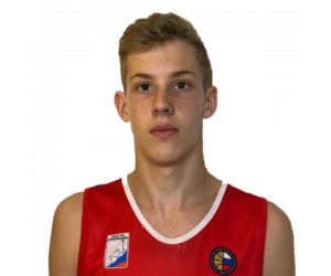 Alexey Domoroshchenko basketball player photo 2
