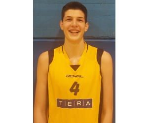 Aljaz Menic basketball player photo 1