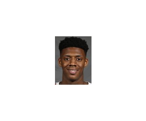 Alonzo Gaffney basketball player photo 1