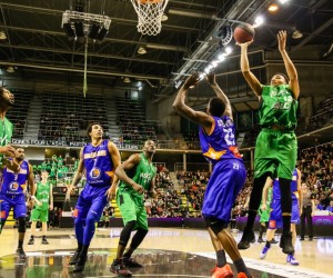 Amine Noua basketball player photo 2