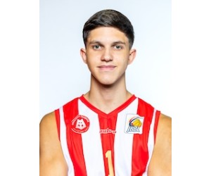 Ammar Kurtanovic basketball player