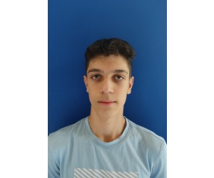 Andraz Toplisek basketball player