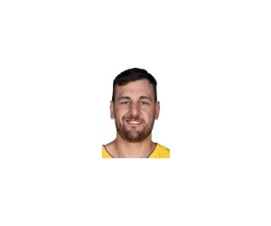 Andrew Bogut basketball player - C