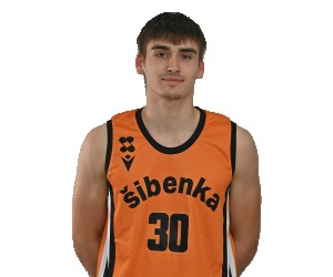 Ante Brajkovic basketball player photo 2