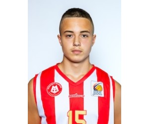Ante Slunjski basketball player