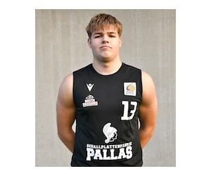 Anton Frizler basketball player