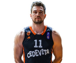 Antun Maricevic basketball player photo 5