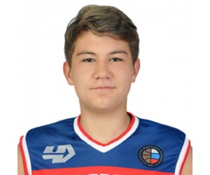 Arhip Vasil'ev basketball player - F/PG