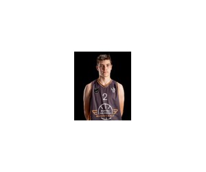 Armans Baltins basketball player