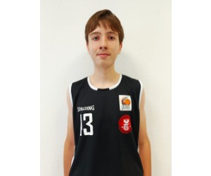 Arne Hedler basketball player