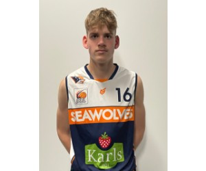 Aron Kretschmann basketball player photo 1