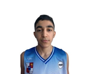 Arshak Petrosyan basketball player photo 2