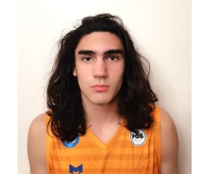 Artem Lapkin basketball player photo 3
