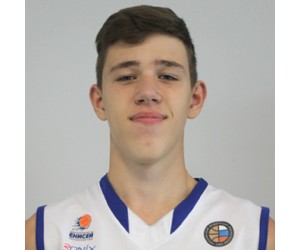 Artem Schlegel basketball player photo 1