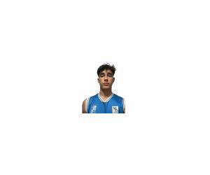 Arthur Feijao basketball player