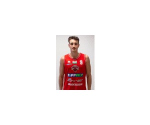 Attila Demeter basketball player photo 2