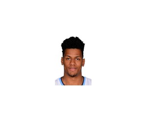 Axel Toupane basketball player - SG