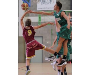 Bastiaan Van Den Eynde basketball player photo 1