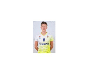 Bence Nyulasi basketball player - PG