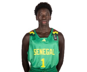 Benoit Paul Victor Ndione basketball player photo 1