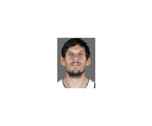 Boban Marjanovic basketball player photo 1