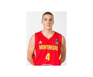 Bogdan Bojic basketball player photo 1