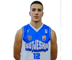 Bogdan Bojic basketball player - SF