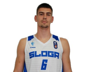 Bogdan Savic basketball player