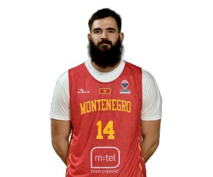Bojan Dubljevic basketball player photo 2