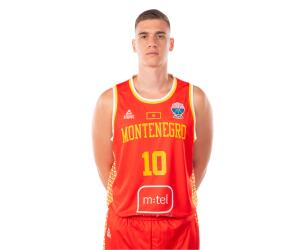 Bojan Tomasevic basketball player photo 4