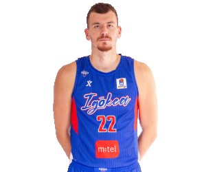 Borisa Simanic basketball player photo 4