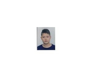 Borna Cuzic basketball player - F