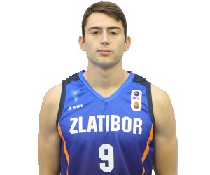 Branislav Terzic basketball player photo 3