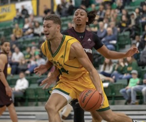 Brody Clarke basketball player - SF